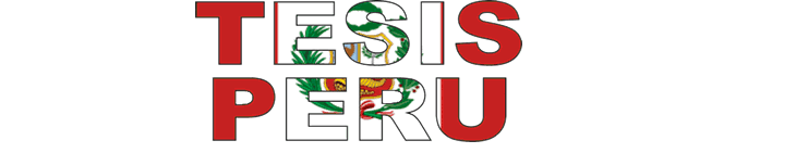 ELABORACION DE TESIS PERU MAESTRIA,DOCTORADO, PREGRADO